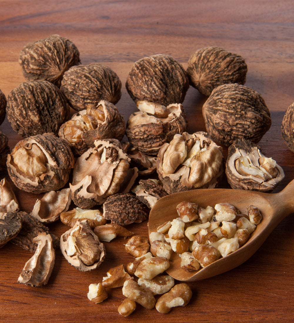 Missouri Dandy Premium Fancy Large Black Walnut - 3lb Tin