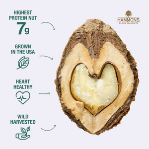 HIKE Trail Mix Variety Pack